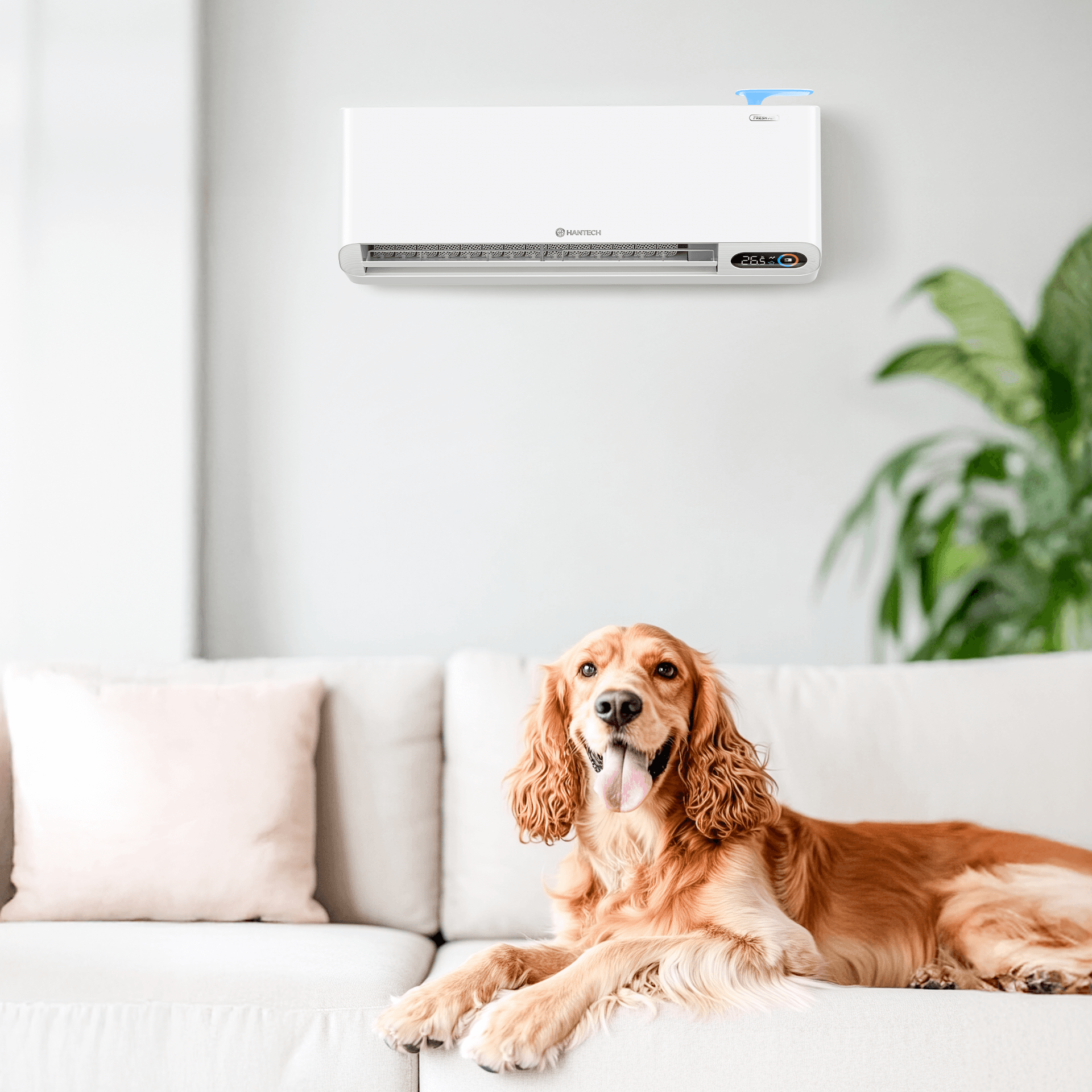 Yüksek Beklentiler İçin Akıllı İklim Çözümleri image