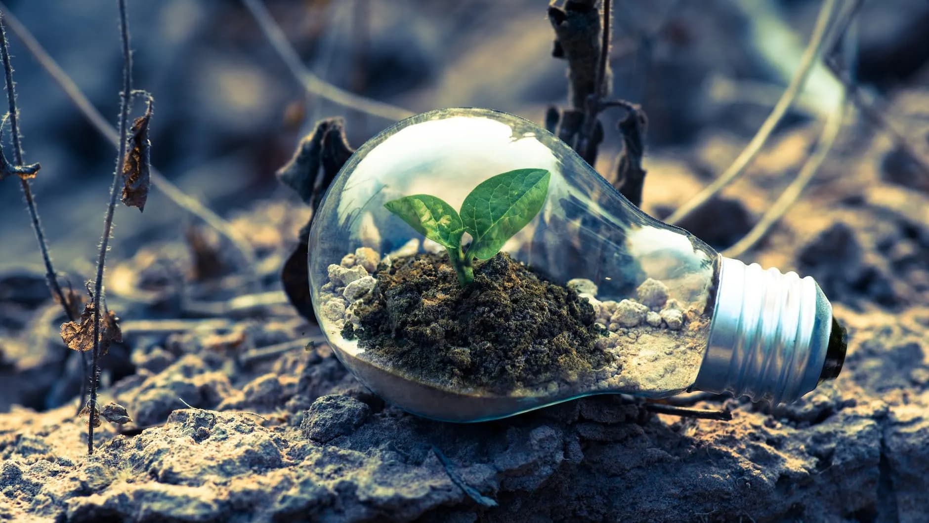 Vizyonumuz ve Misyonumuzpicture